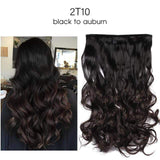 La Boutique du cheveu et de la perruque Extensions black to auburn / 20pouces Extensions de Cheveux Ondulés Synthétique